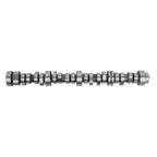 Camshaft for Chevrolet Camaro (2014–2021)