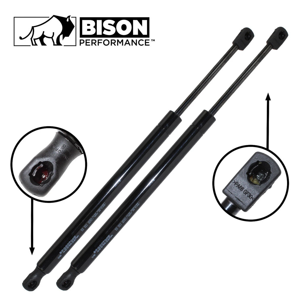 2X Gas Spring Hatch Liftgate Support for Dodge Magnum (2005–2008)