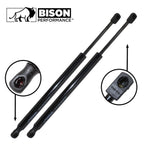 2X Gas Spring Hatch Liftgate Support for Dodge Magnum (2005–2008)
