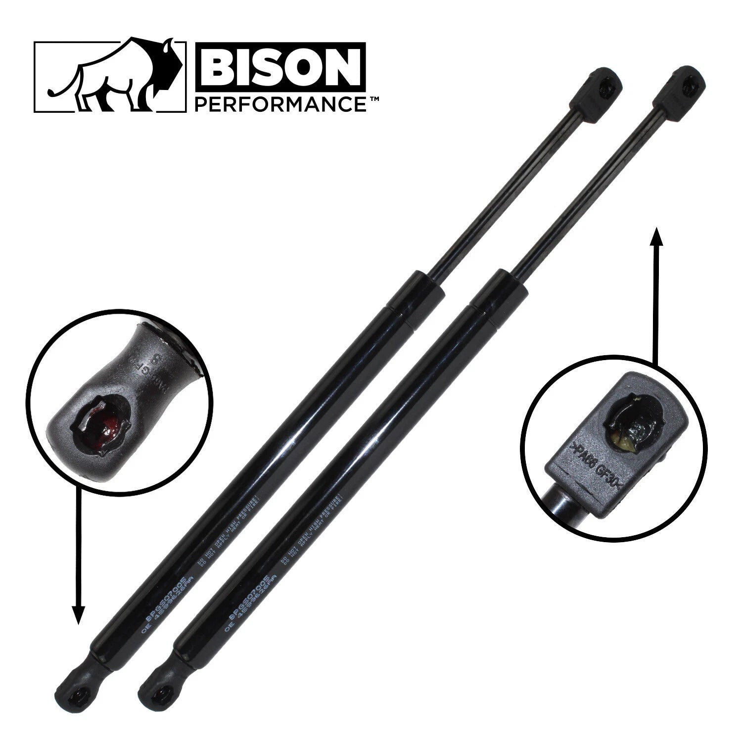 2X Gas Spring Hatch Liftgate Support for Dodge Magnum (2005–2008)
