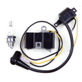 Ignition Coil & Spark Plug Kit for Husqvarna 61 66 162 266 (Old Model)