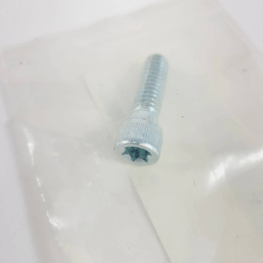 Torx Screw 10200157 for Harley-Davidson