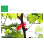 Stainless Steel Trellis Binder Tool for Vines and Branches (Outdoor Use)