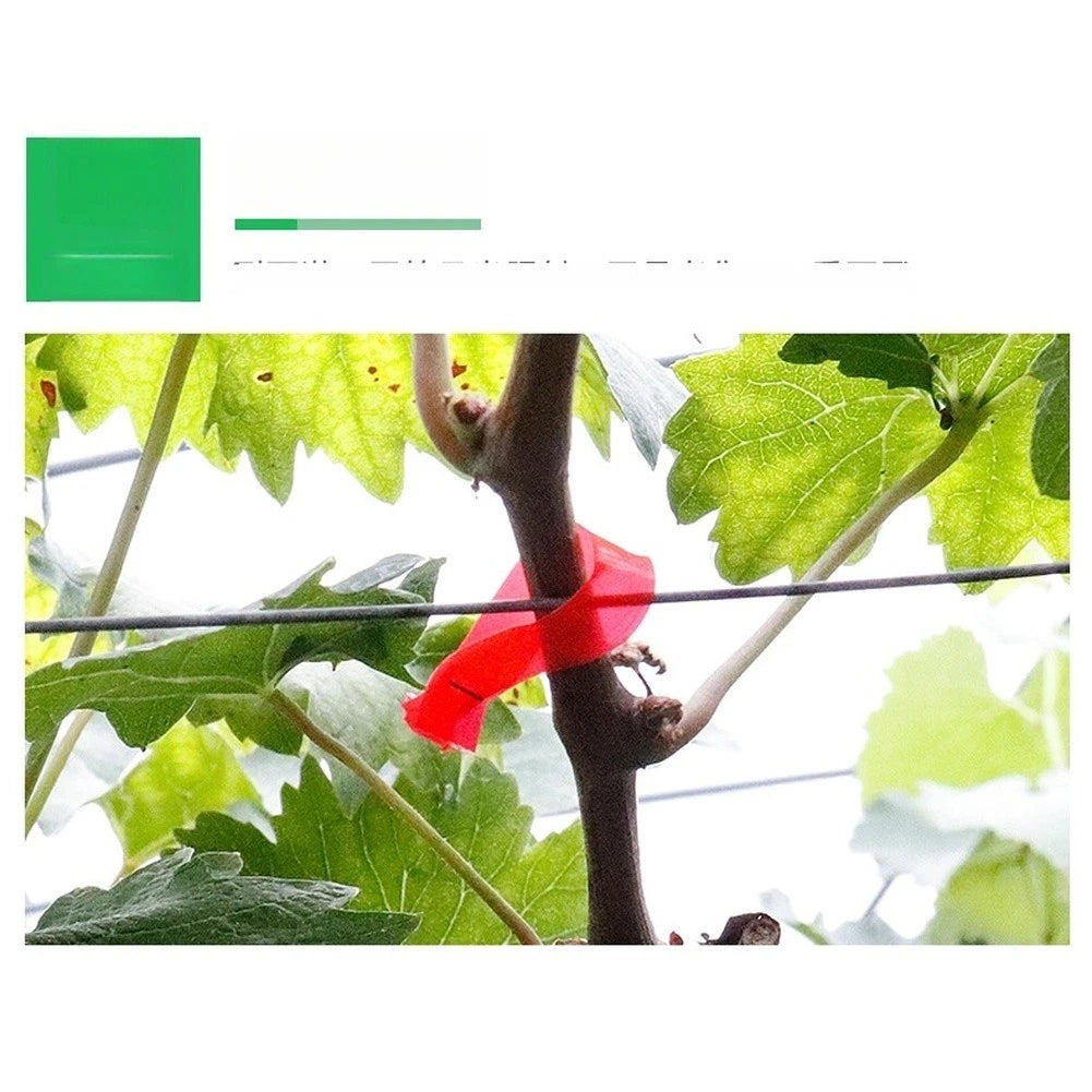 Stainless Steel Trellis Binder Tool for Vines and Branches (Outdoor Use)
