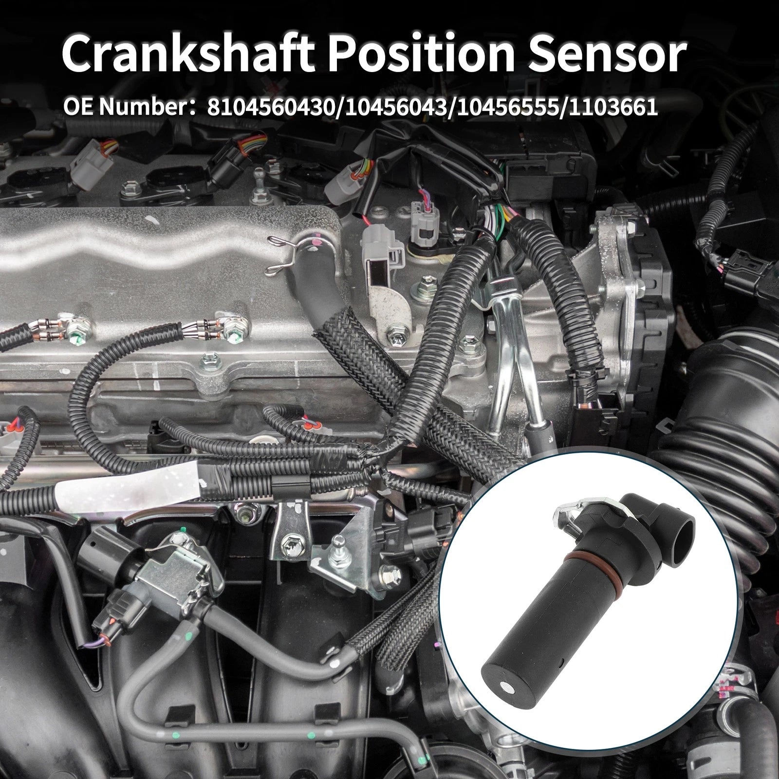 Crankshaft Position Sensor for Chevrolet Impala (2000–2005) No. 8104560430