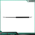 Set of 2 Struts for Tool Box Outdoor Cabinets Boat Bed Lift Supports (15 Inch)