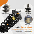 Suspension Kit Rear Struts Spring for Rover Range Rover Sport (2006–2013)