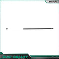 2 Pcs Rear Liftgate Lift Supports Gas Struts for Dodge Durango (1998–2003)