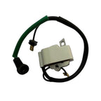 PS6100H Ignition Coil for
