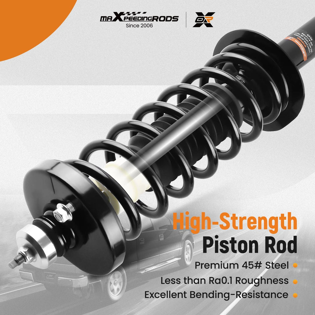 Pair Rear Struts with Coil Spring Assembly for Honda Accord (2013-2017)