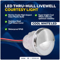 LED Boat Courtesy Lights Set of 2, 1-5/16" Round, White, Stainless Steel