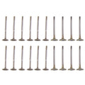 Set of 12 Intake & 8 Exhaust Valves for Audi A4 Quattro, VW Golf, Jetta 1.8L Turbo