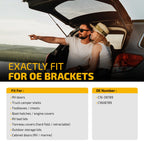2X Gas Shock Strut for Trap Door Rear Window (2017-2023)