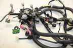 Main Wire Harness for Yamaha FZR FZS (2011–2012) 6AN-8259L-10-00