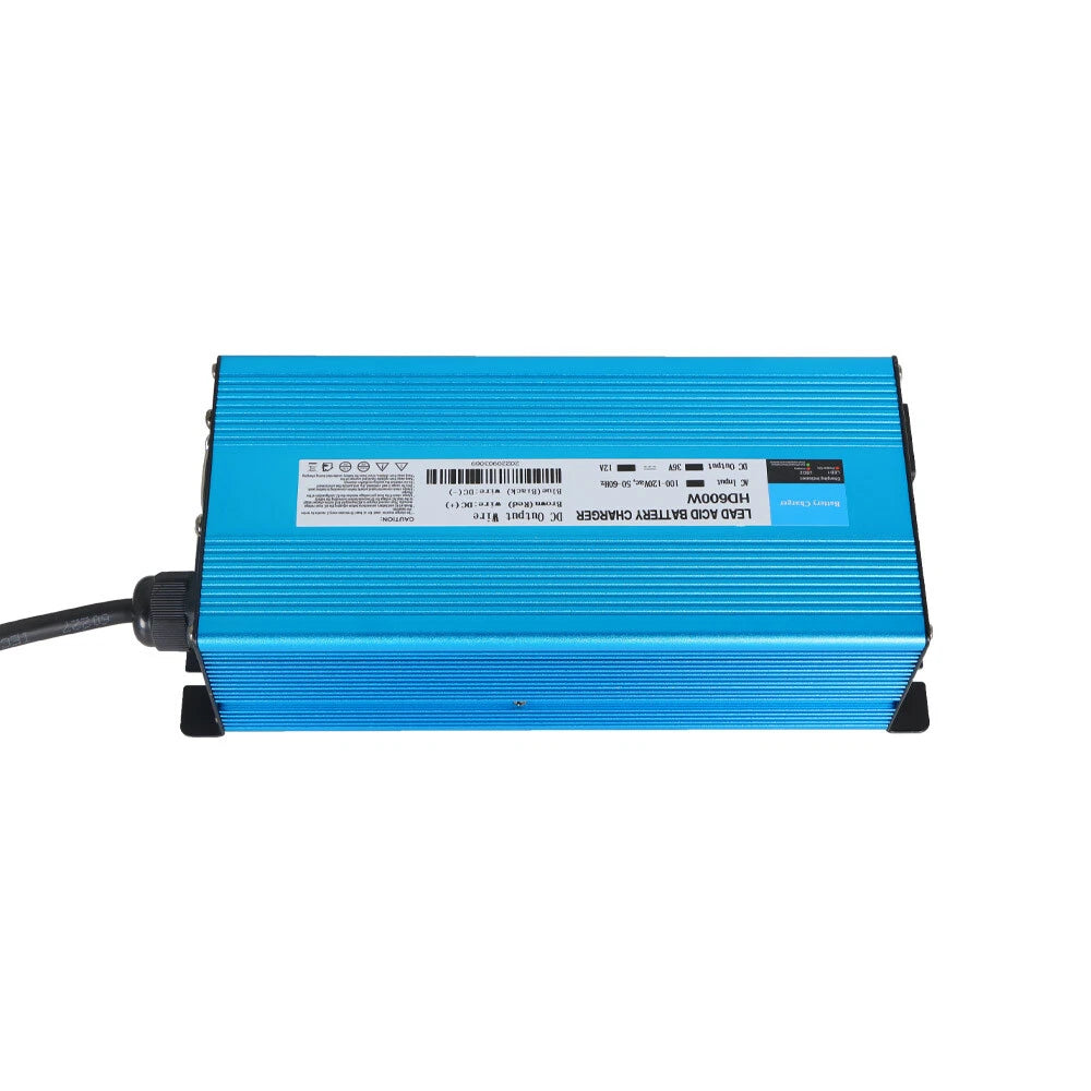 36V 12A Battery Charger for E-Z-GO Golf Cart (1996–Present)