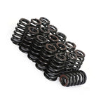 PAC-1219 Drop-In Beehive Valve Spring Kit for Chevrolet LS1 (1997–2004)