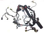 Evinrude Etec Engine Wiring Harness Assy 0587009 for 115-130HP (2009–2012)