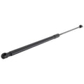 Liftgate Lift Supports for Hyundai Venue