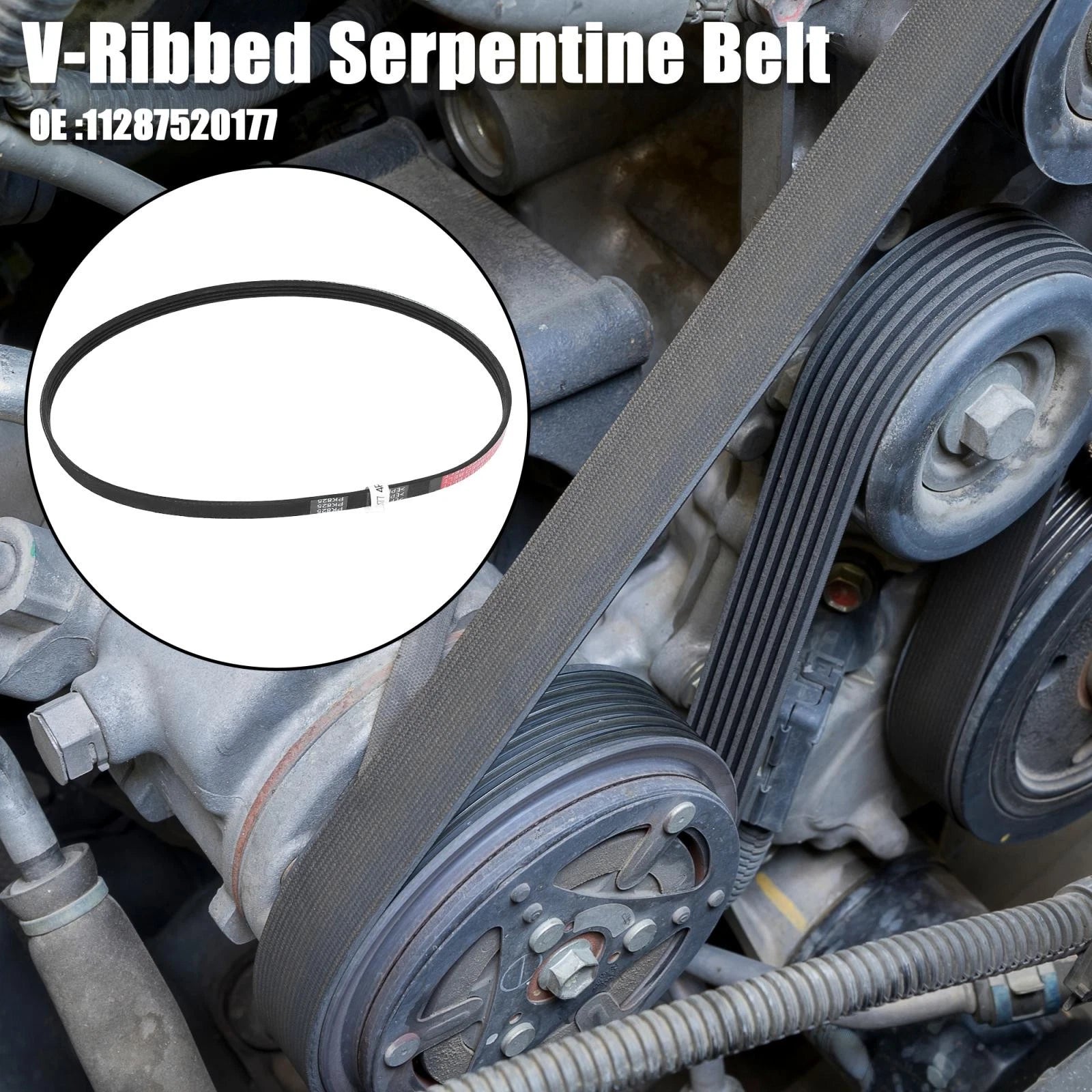 V-Ribbed Serpentine Belt 4PK825 11287520177 for BMW 750i (2006–2008)