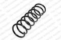 Rear Coil Spring for Lesjofors (4255438)