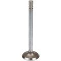 Intake Valve A-234275R1 for