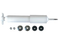 Front Shock Absorber for Mazda B4000 (1998–2006) RJ443YM
