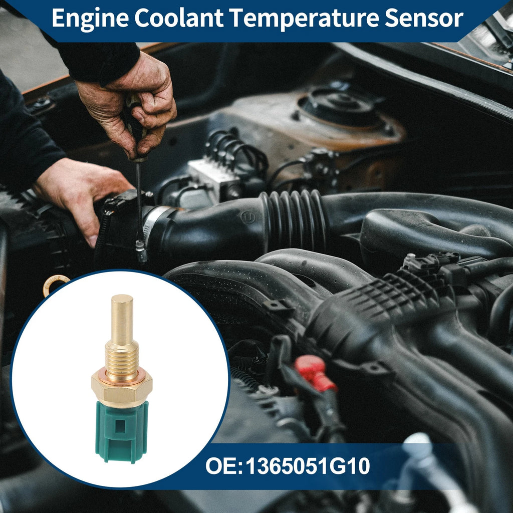 Engine Coolant Temperature Sensor   No. 1365051G10