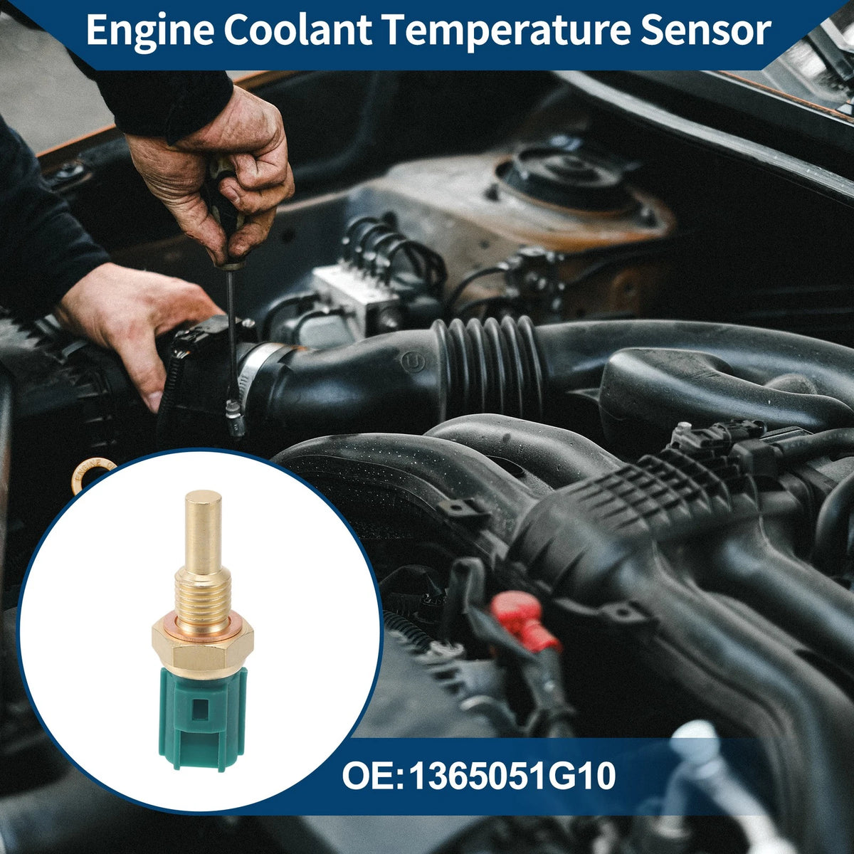 Engine Coolant Temperature Sensor   No. 1365051G10