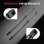 Pair Rear Liftgate Struts for Cadillac SRX (2010–2016) 6377