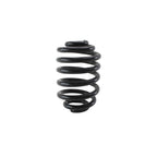 Rear Coil Spring for BMW E46 M3 3.2L L6 (2001–2006) 4208475