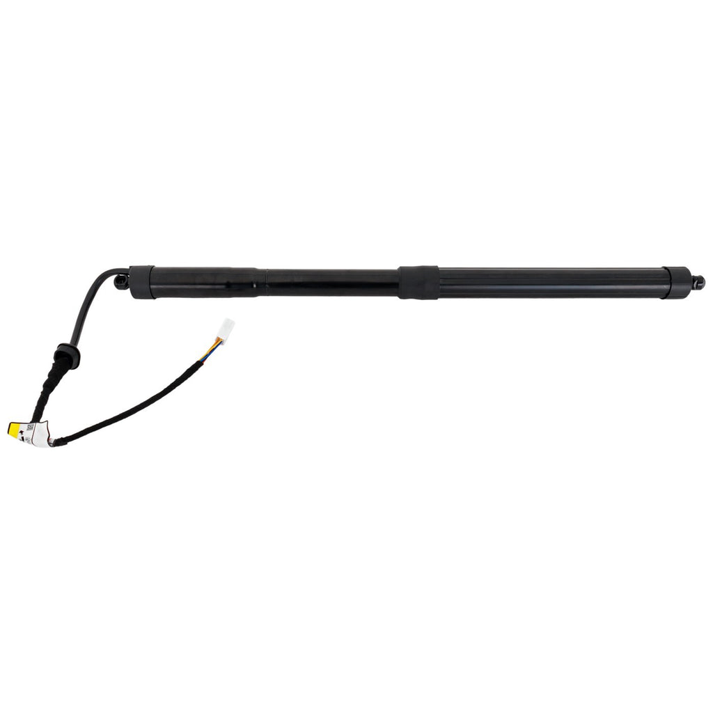 Liftgate Lift Supports for Toyota RAV4 Prime