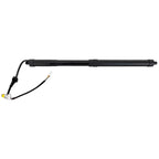 Liftgate Lift Supports for Toyota RAV4 Prime