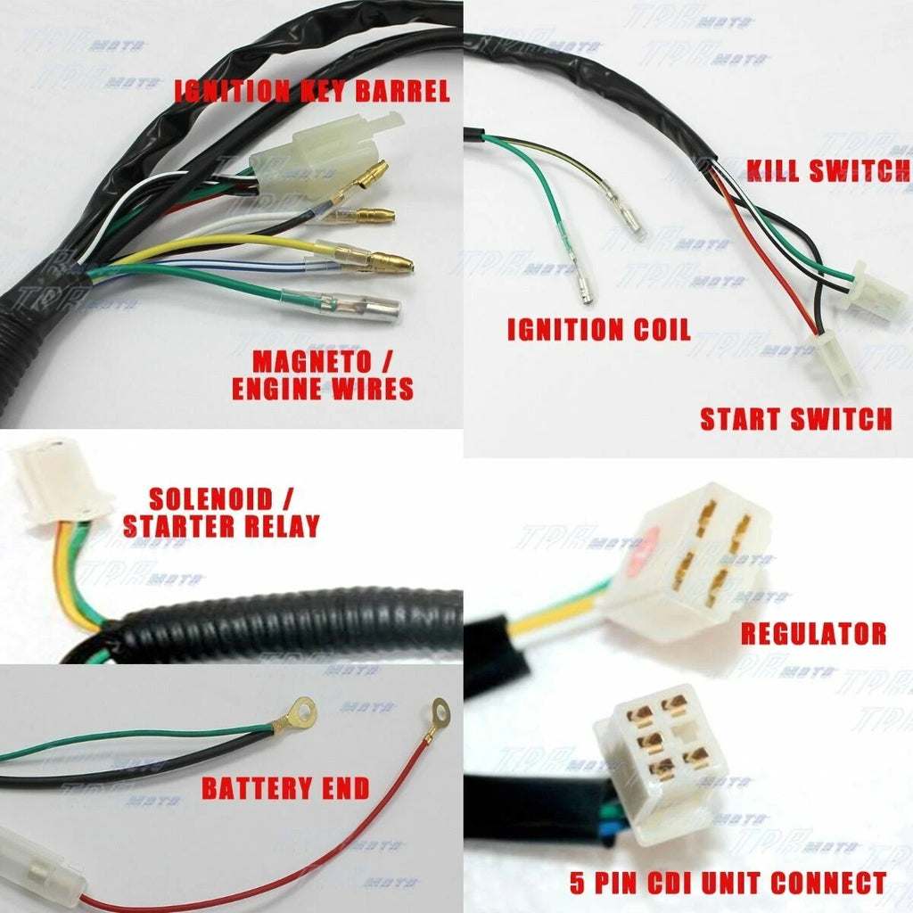 Wiring Loom for Atomik Motoworks Thumpstar 70/110/125/150cc Dirt Pit