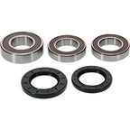 Pivot Works Premium Wheel Bearing for