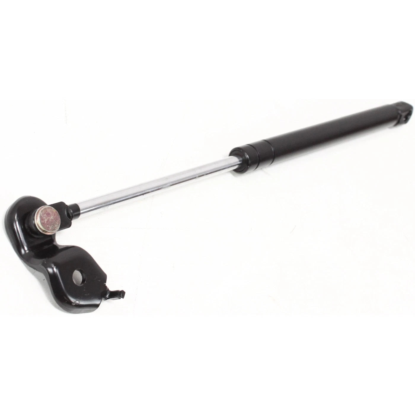 Lift Support for Toyota Avalon (1995–1999)