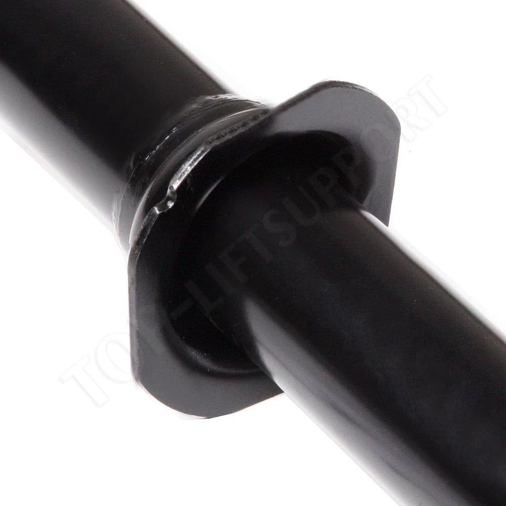 Set of 2 Struts & Gas Shocks for Acura TSX/TL (2004–2008)