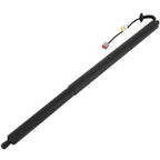 Liftgate Lift Support for Ford Kuga & Escape (2013–2019)