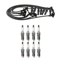 Denso 8mm Wire Set & 8 Iridium TT Spark Plugs for Ford Lincoln 4.6L V8 (2000–2008)