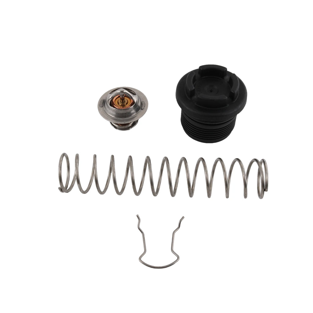 Thermal Regulator Kit for Pentair Sta-Rite Max-E-Therm (2007-2023)