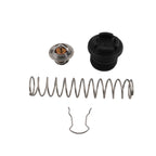 Thermal Regulator Kit for Pentair Sta-Rite Max-E-Therm (2007-2023)