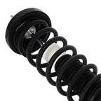 Rear Struts Sway Bars for Honda Accord (2013–2017) w/Coil Springs