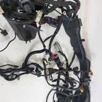 Main Wiring Harness for Harley Davidson CVO Street Glide (2015) 69200910