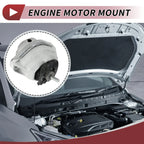 Engine Mount for BMW 5 Series E60 (2003 - 2007) 2.2L A/MT 520i