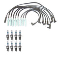 Denso Wire Set & 8 Iridium Power Spark Plugs for Dodge 5.9 V8 (1994–2003)
