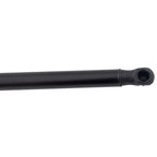 Liftgate Lift Supports for Hyundai Kona (2019–2023)