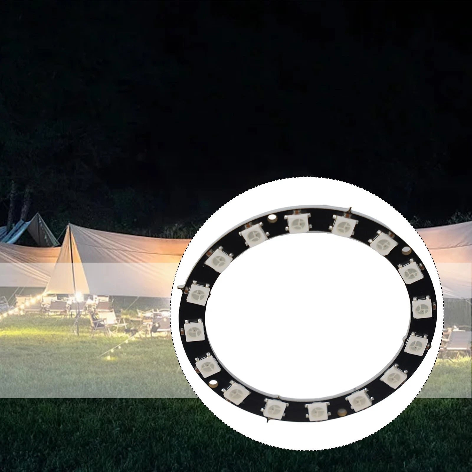 WS2812 5050 RGB LED Strip for Individual Addressable IC (DC5V)