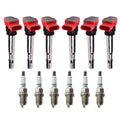 Set of 6 Ignition Coils & Denso Iridium Spark Plugs for Audi A4 A5 A6 (2005–2012)