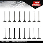 Set of 16 Engine Valves for GM ECOTEC 2.0 2.2 2.4 DOHC (2000–2023)
