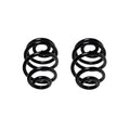 Set of 2 Rear Coil Springs for BMW E46 (1998–2006) - Heavy Duty