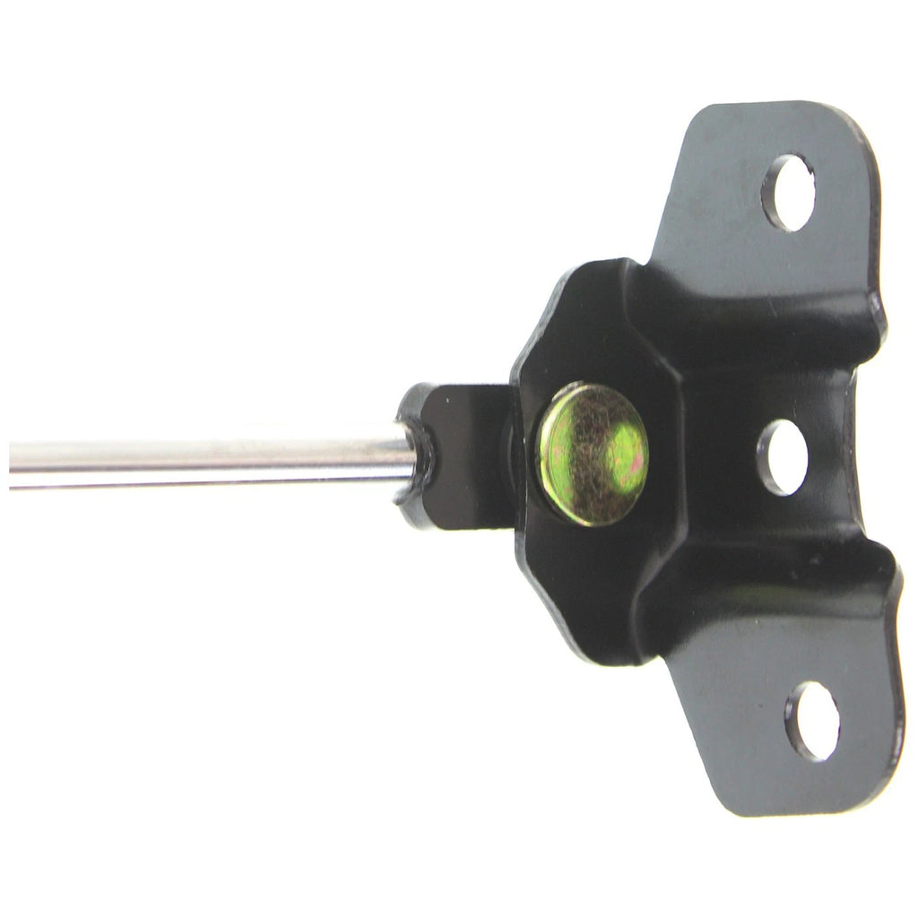 Hood Lift Supports Set of 2 for Honda Accord